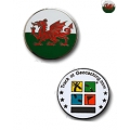 Welsh Dragon Micro Geocoin